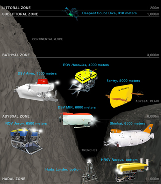 Deep sea submersibles - letting us see a word that is largely pitch black.